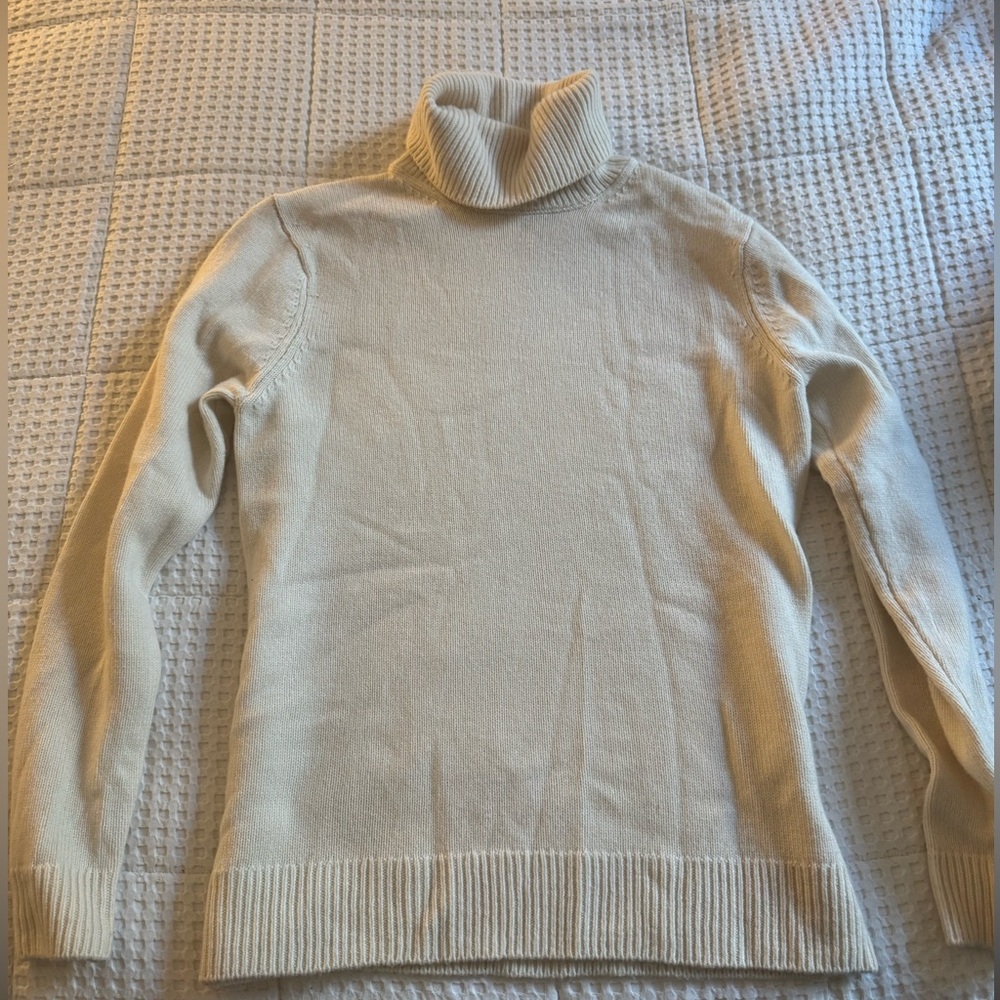 Sandro Turtle Neck (size small)